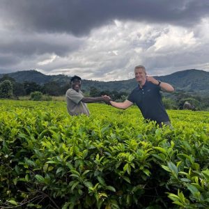 Tea